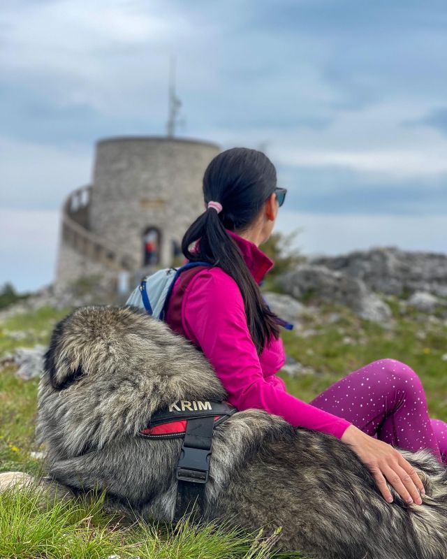 Poklon - Vojak, Učka ⭕️🇭🇷

#hribovc #planinci #vojakucka #učka #visitrijeka #hikingwithdogs #spsomnapot #exploringcroatia #karstshepherd #kraskiovcar #hikingculture #hikingadventures #hikinglife #hikingdogsofinstagram #outdoors #mountaineering #mountainlovers #choosemountains #womenwhohike #womenwhoexplore #neverstopexploring #hikingvibes #hikingviews #beyondepic #sharebeyondepic