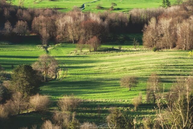 The fields are no longer planted and become plains. When the sun falls on them at sunset, they look as if it is painting them, drawing on them and playing, doesn't need a brush, only the light that illuminates the canvas.
.
.
.
#landscapephotography #landscape_perfection #sunsetlandscape #everything_imaginable #nature_brilliance #nature_perfection #visitkvarner #visitklana #discovercroatia #croatiafulloflife #croatiafullofnature #croatiatravel #visitklana #nikonphotography #nikonhrvatska #yourshotphotographer #natgeohr #netgeotravel #zorazoreticphotography