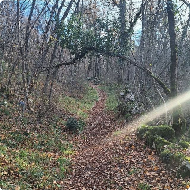 #jesen 🍁🍂🍁🍂
Evo nekoliko lijepih riječi o jeseni

Jesen je stigla,
evo je luta,
s lišćem se igra pokraj puta.
Stabla i grmlje
poljupcima prene,
a oni se sramežljivo
crvene, crvene …
sva vragolasta,
ne da im mira,
svojim kistom
nježno ih dira.
I dok po lišću šara
žute, narančaste
i boje smeđe,
već umorna stabla
sklapaju vjeđe.
Ostat će budna samo
rumena zrna divlje ruže
žaleći što jesen
ne traje duže.  Nada Jerčić
#autumn #autumnvibes #autumncolors #autumnphotography #idemo_u_prirodu #outdooractivities #outdoorcroatia #outdoorphotography #viškovo #visitviskovo #rijeka #visitrijeka #croatia #croatiafullofnature #croatiafulloflife #visitcroatia #hiking_croatia #holidayincroatia #weekendincroatia