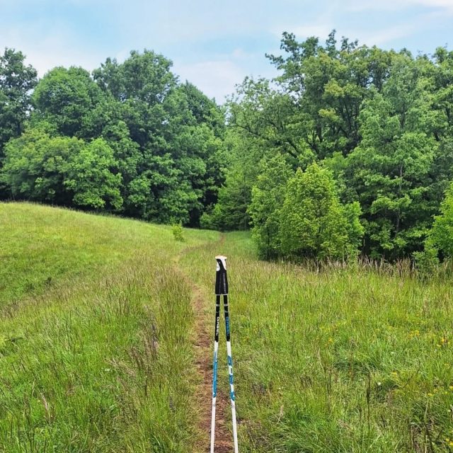 Jučerašnja kružna ruta, oko 13 km, po šetnici Plešivac i Lončevoj griži. Dan poluoblačan, kao stvoren za šetnju. Bilo je i malo kiše, ali ništa ozbiljno. Baš lijepo provedeno vrijeme. 🥾😃😎
#šetnicaplešivac #lončevagriža #viškovo #visitviškovo #outdoorlife #outdooractivities #outdoorcroatia #outdoorphotography #idemo_u_prirodu #hiking_croatia #planinarenje #croatiafullofnature #croatiafulloflife #croatia #visitcroatia #holidayincroatia #weekendincroatia